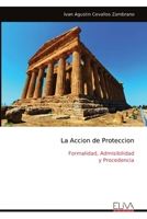 La Accion de Proteccion: Formalidad, Admisibilidad y Procedencia (Spanish Edition) 999934139X Book Cover