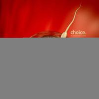 Choice 0615354246 Book Cover