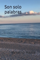 Son solo palabras (Spanish Edition) B0DTKHKF5F Book Cover