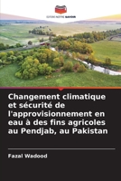 Changement climatique et sécurité de l'approvisionnement en eau à des fins agricoles au Pendjab, au Pakistan 6630220870 Book Cover