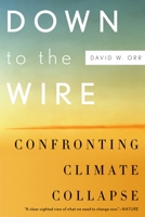 Down to the Wire: Confronting Climate Collapse 0199829365 Book Cover