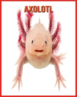 Axolotl: Erstaunliche Fakten über Axolotl B08WS878RB Book Cover
