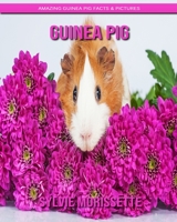 Guinea Pig: Amazing Guinea Pig Facts & Pictures 1704338697 Book Cover