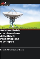 Antenne ibride con risonatore dielettrico: Progettazione e sviluppo 6204638211 Book Cover