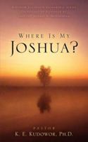 Where Is My Joshua? 1602662347 Book Cover