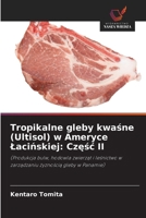 Tropikalne gleby kwasne (Ultisol) w Ameryce Lacinskiej: Czesc II (Polish Edition) 6208490901 Book Cover