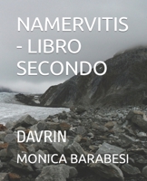 NAMERVITIS - LIBRO SECONDO: DAVRIN (Italian Edition) B0CPWNFF9T Book Cover