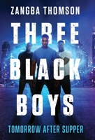 Three Black Boys: Tomorrow After Supper 0615843603 Book Cover
