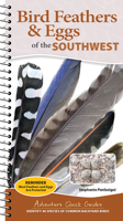 Bird Feathers & Eggs of the Southwest: Identify 40 Species of Common Backyard Birds 1647556678 Book Cover