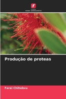 Produção de proteas (Portuguese Edition) 6209929559 Book Cover