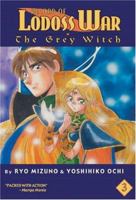 Record Of Lodoss War: The Grey Witch, Book Three 1586649450 Book Cover