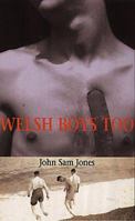 Welsh Boys Too! (Parthian Shots) 1902638115 Book Cover
