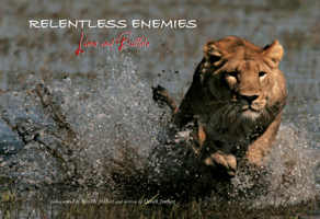 Relentless Enemies: Lions and Buffalo 1426200048 Book Cover