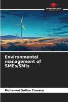 Environmental management of SMEs/SMIs 6209592600 Book Cover