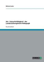 Die Zukunftsf�higkeit der Landerziehungsheim-P�dagogik 3638816400 Book Cover