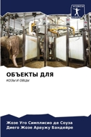 ОБЪЕКТЫ ДЛЯ 6206985695 Book Cover