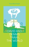 David and Dennis travel the world 3755769956 Book Cover