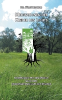 Meditationen der Kinder des Lichts: Kommunion mit den Engeln nach dem Friedensevangelium der Eßener 3741285749 Book Cover
