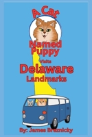 A Cat Named Puppy Visits Delaware Landmarks: Exploring Historic Sites, State Parks, and Fun Attractions in the First State – A Rhyming Adventure for Curious Kids (A Cat Named Puppy Visits Landmarks) B0F4MT6L6V Book Cover