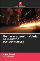 Melhorar a produtividade na indústria transformadora (Portuguese Edition) 6208070279 Book Cover