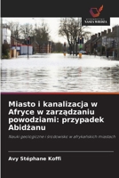 Miasto i kanalizacja w Afryce w zarzadzaniu powodziami: przypadek Abidzanu (Polish Edition) 6209065848 Book Cover
