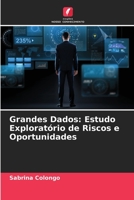 Grandes Dados: Estudo Exploratório de Riscos e Oportunidades 6205846292 Book Cover