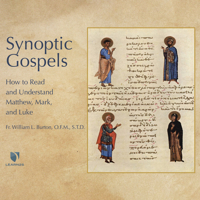 Synoptic Gospels: How to Read and Understand Matthew, Mark, and Luke 1666524751 Book Cover