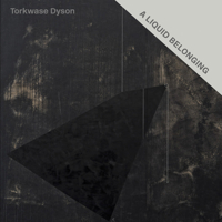 Torkwase Dyson: A Liquid Belonging 194870191X Book Cover