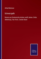 Schwarzgelb: Roman aus Oesterreichs letzten zwölf Jahren. Dritte Abtheilung. Vae Victis. Zweiter Band 3375037325 Book Cover