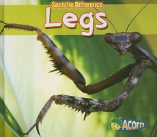 Legs (Spot the Difference) 1432900064 Book Cover