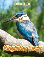 Kingfisher Facts: Animal fact for girl age 1-10 Animal fact for boy age 1-10 facts about kingfisher bird where do kingfishers live B08L2GRX4S Book Cover