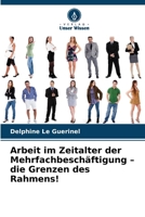 Arbeit im Zeitalter der Mehrfachbeschäftigung - die Grenzen des Rahmens! 6209701485 Book Cover