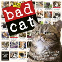Bad Cat Wall Calendar 2027: Celebrating the Misfits of the Feline World 1523534737 Book Cover
