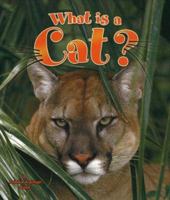 What Is a Cat? 0865059675 Book Cover