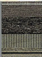 Through Thin and Thick 149073421X Book Cover