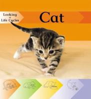 Cat. Victoria Huseby 1599201771 Book Cover