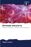 Лечение инсульта: Лечение гемиплегии с помощью ионной коррекции 6204129937 Book Cover