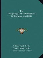 The Embryology and Metamorphosis of the Macroura 1167050614 Book Cover