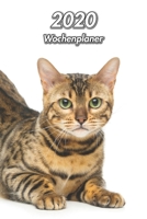 2020 Wochenplaner: Bengal | 107 Seiten, 15cm x 23cm ca. A5 | Taschenkalender | Terminplaner | Tagebuch | Terminkalender | Organizer für Katzenliebhaber (German Edition) 1671927184 Book Cover