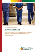 Estresse Laboral: Estresse Laboral da equipe de enfermagem em um Centro de Terapia Intensiva em Queimaduras 6202030178 Book Cover