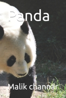 Panda B09TDW942X Book Cover