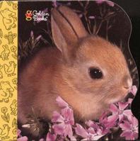 10 Little Bunnies (Little Nugget) 0307127494 Book Cover