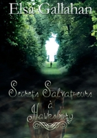 Secrets Salvatueurs à Hawksbury (French Edition) B07KLCVYN5 Book Cover