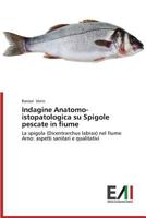 Indagine Anatomo-istopatologica su Spigole pescate in fiume 3639656261 Book Cover