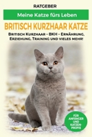 Britisch Kurzhaar Katze: Britisch Kurzhaar Katze Ratgeber - BKH Katze - Erziehung, Ernährung und Pflege (Katzenrassen) B08B38YK5X Book Cover