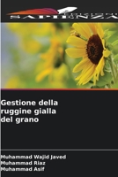 Gestione della ruggine gialla del grano (Italian Edition) 6630387341 Book Cover