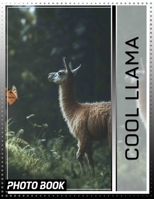 Cool Llama Photo Book: 40 Unique Images Celebrating The Charm And Quirkiness Of Llamas For Animal Lovers B0DQ43WFZ1 Book Cover