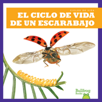 El Ciclo de Vida de Un Escarabajo (a Beetle's Life Cycle) (Ciclos de Vida B09TMWKH2H Book Cover