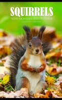 Squirrels Note Monthly 2020 Planner 12 Month Calendar 1692682075 Book Cover