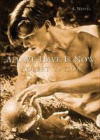 All We Have Is Now 0312284810 Book Cover
